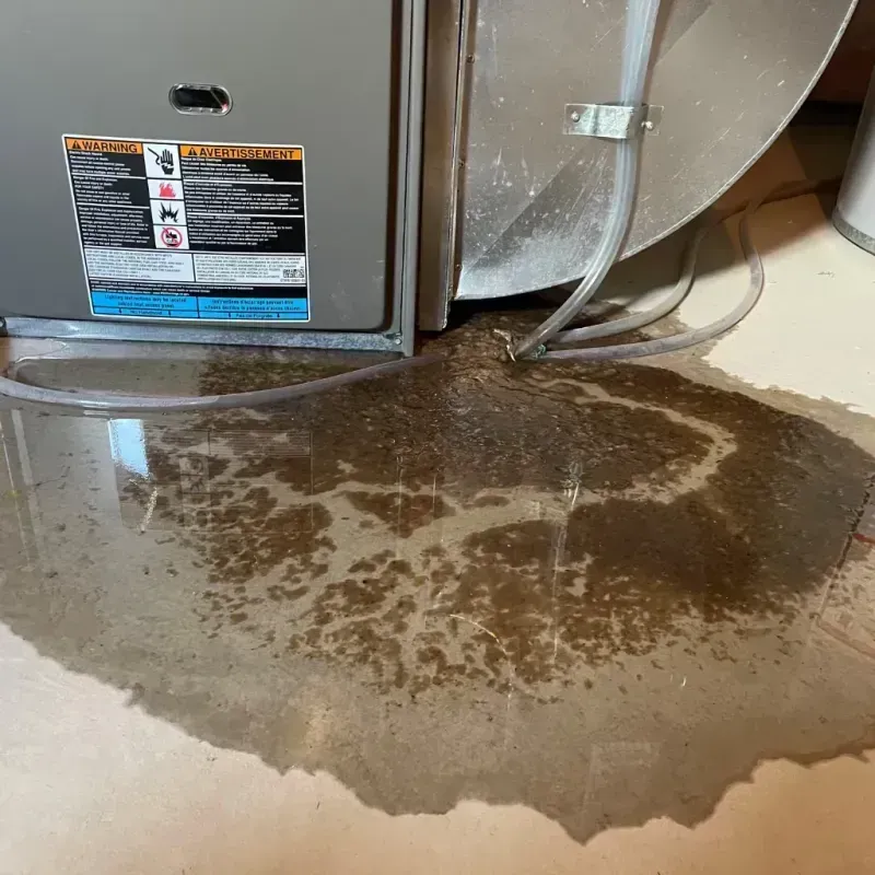 Appliance Leak Cleanup in Cheyenne Wells, CO